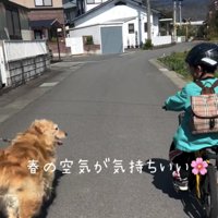 自転車の横を歩く犬