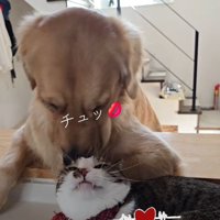 おでこにチュッ♡
