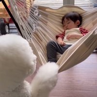 犬にキスする男の子