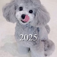 舌をペロリと出した成犬の犬