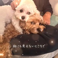 とっても仲良し♡