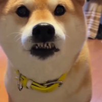 唇が渇いちゃった！