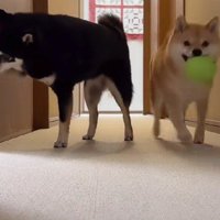 「ここ開けて～」