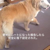 横目でチラリ