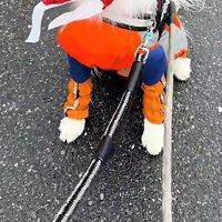 雨の日のお散歩へ
