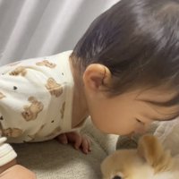 犬の匂いをかぐ子ども