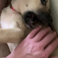 甘噛みもしてくれた！！