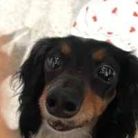 小咲ちゃんの魅力が引き立つように…