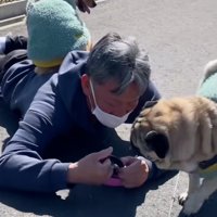 マイペースな殿くん