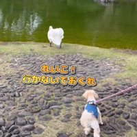 お別れのとき…