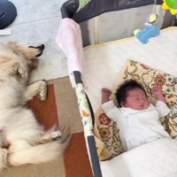 寝ているときも…