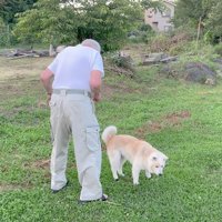 お散歩気分で気晴らし