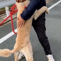 わんこを励ますパパ