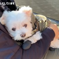 愛にあふれた光景♡