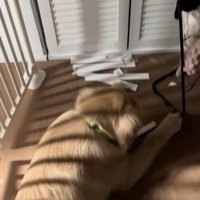 マルクルくん、何してるの？