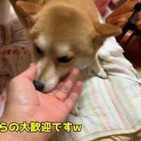 熱烈大歓迎♡