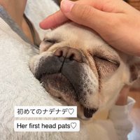 初めて愛された