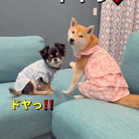 おそろいの服でおでかけ♪