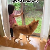 窓の外を眺める2人