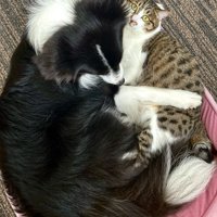 抱き合う