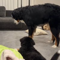 すぐに距離を取ります