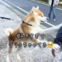 パンチ、クリーンヒット！