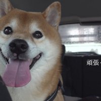 なんとか二度目の採血が終了