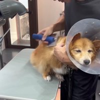 ウトウトすることも