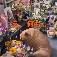 「え、何も…」