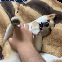 お腹をナデナデ♡