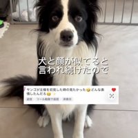 とっても美形なサンゴさん