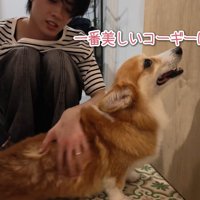 キレイになってニッコリ♪