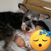 抱え込む