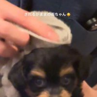 されるがままの姿にキュン♡