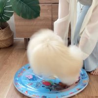 初めての感触にびっくり！