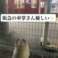 電車を夢中で見学