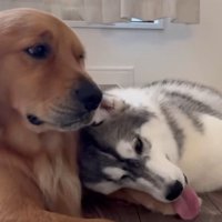 「やっぱりくるか…」