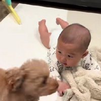 「なんか視線を感じる…」