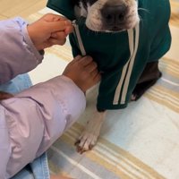 たま君と女の子の成長7