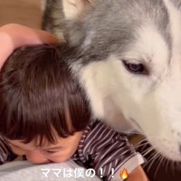 ママを取り合う星凪くん＆男の子5