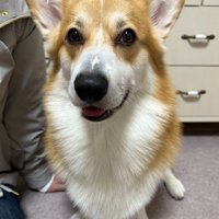 普段は美男子♪