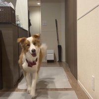 実は男の子とのこと！！