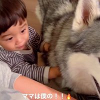 ママを取り合う星凪くん＆男の子3