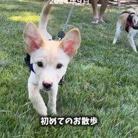 色々な初めてを経験しながら成長