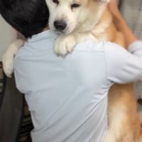 嬉しくてうっとり