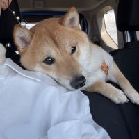 ドライブ