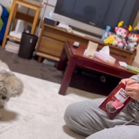 「もっと寄こせ」とベルを連打！