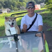 田んぼの畦道をドライブ