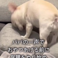 「オヤツは！？」