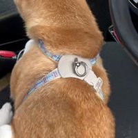 動き出したなっとうちゃん